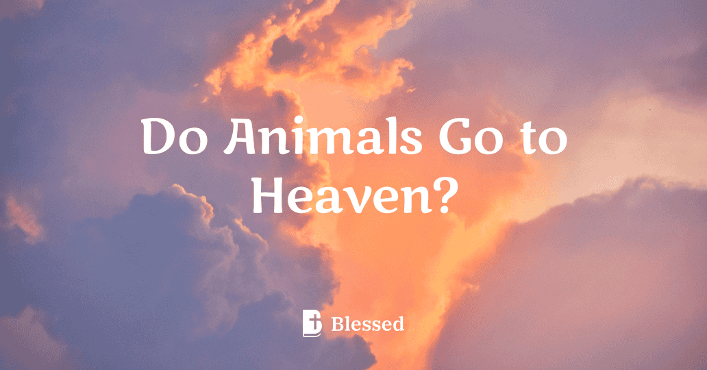 Do Animals Go to Heaven?