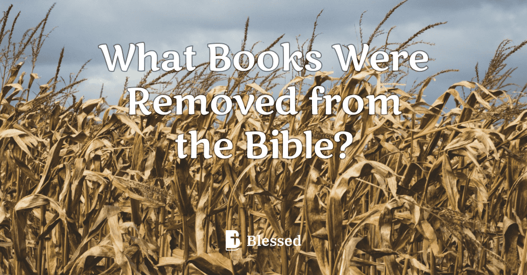 What Books Were Removed from the Bible?
