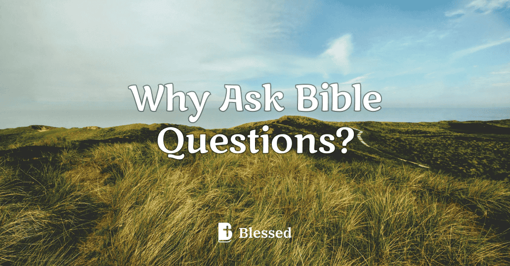 Why Ask Bible Questions?