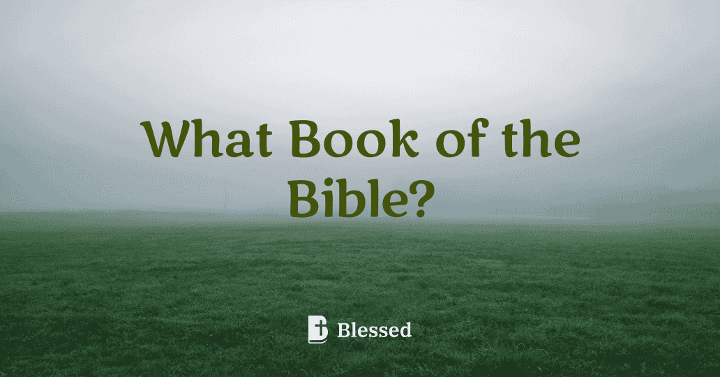 What Book of the Bible?