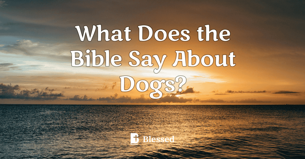 What Does the Bible Say About Dogs?