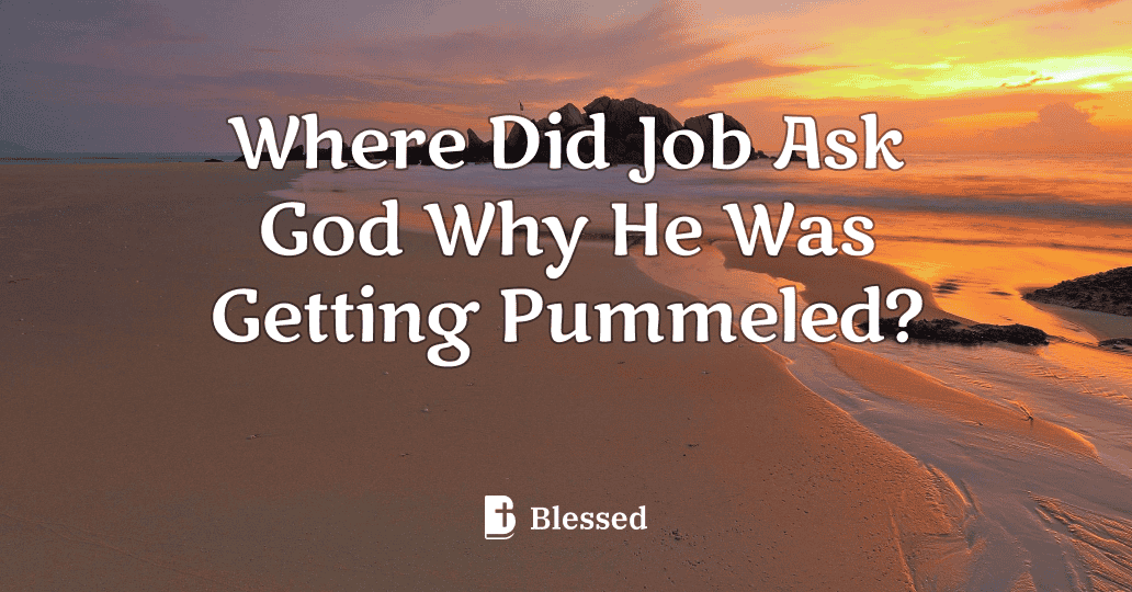 Where Did Job Ask God Why He Was Getting Pummeled?