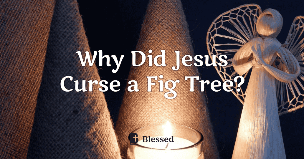 Why Did Jesus Curse a Fig Tree?