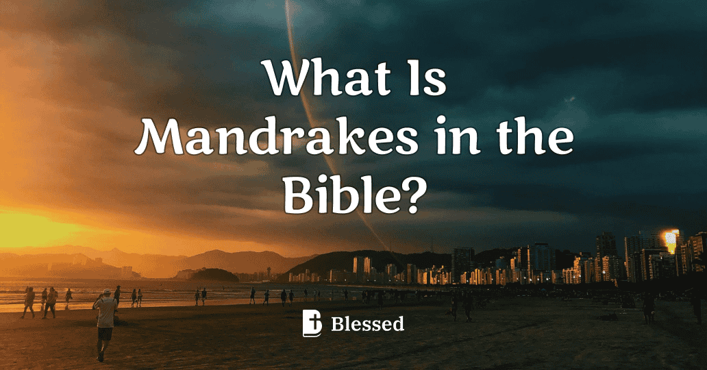 What Is Mandrakes in the Bible?