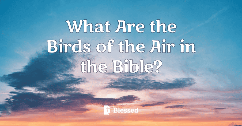What Are the Birds of the Air in the Bible?