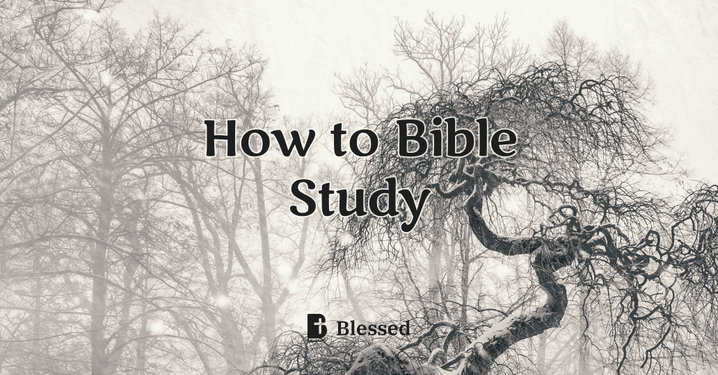 How to Bible Study