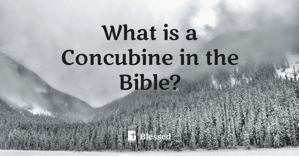 What is a Concubine in the Bible?