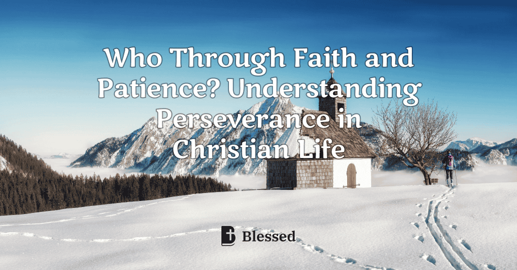 Who Through Faith and Patience? Understanding Perseverance in Christian Life