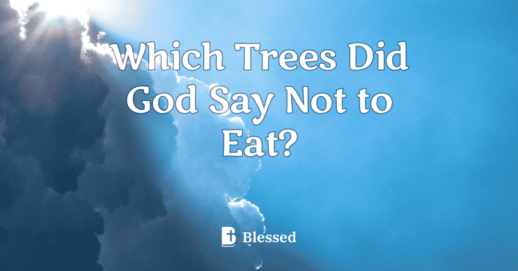 Which Trees Did God Say Not to Eat?