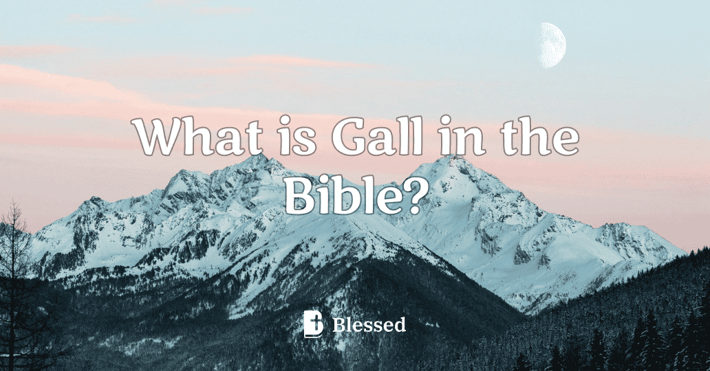 What is Gall in the Bible?