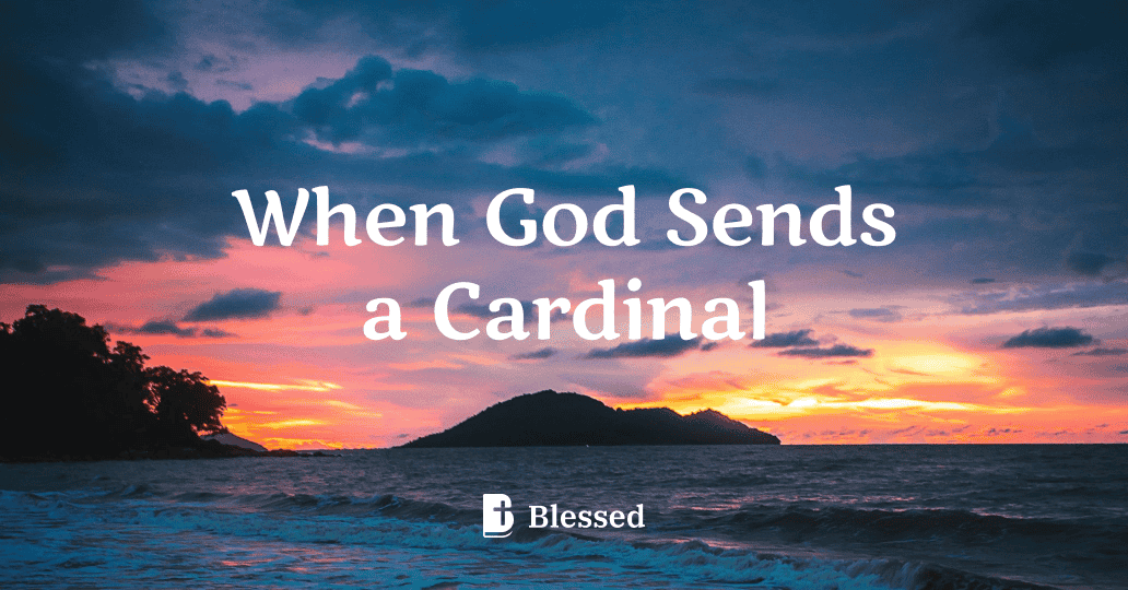 When God Sends a Cardinal