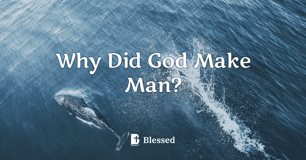 Why Did God Make Man?