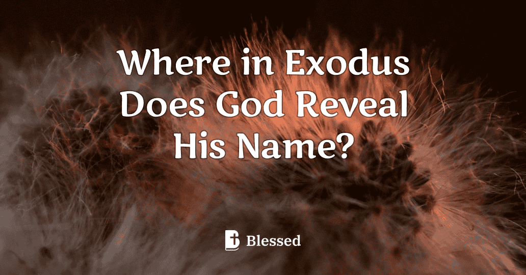 Where in Exodus Does God Reveal His Name?