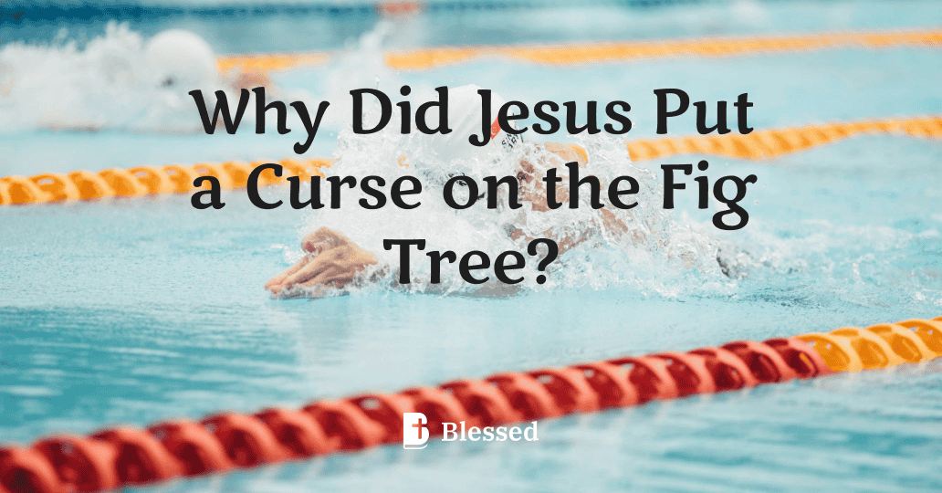 Why Did Jesus Put a Curse on the Fig Tree?