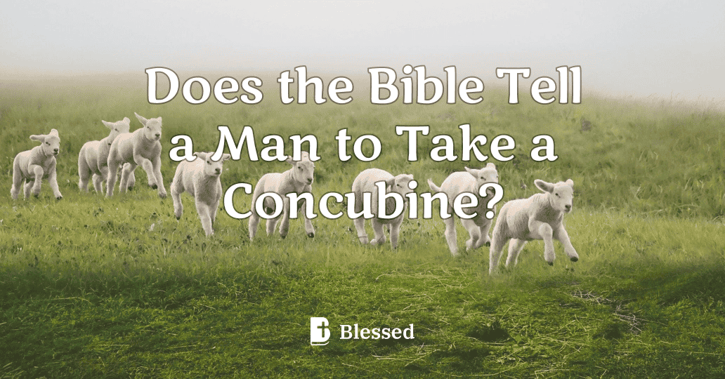 Does the Bible Tell a Man to Take a Concubine?