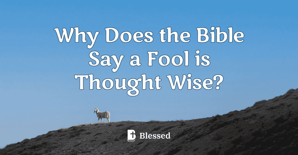Why Does the Bible Say a Fool is Thought Wise?