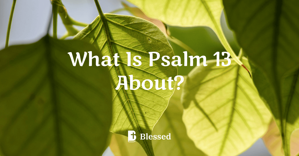 What Is Psalm 13 About?