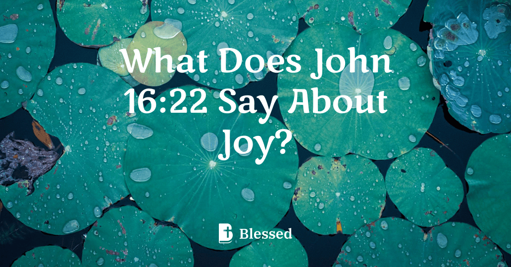 What Does John 16:22 Say About Joy?