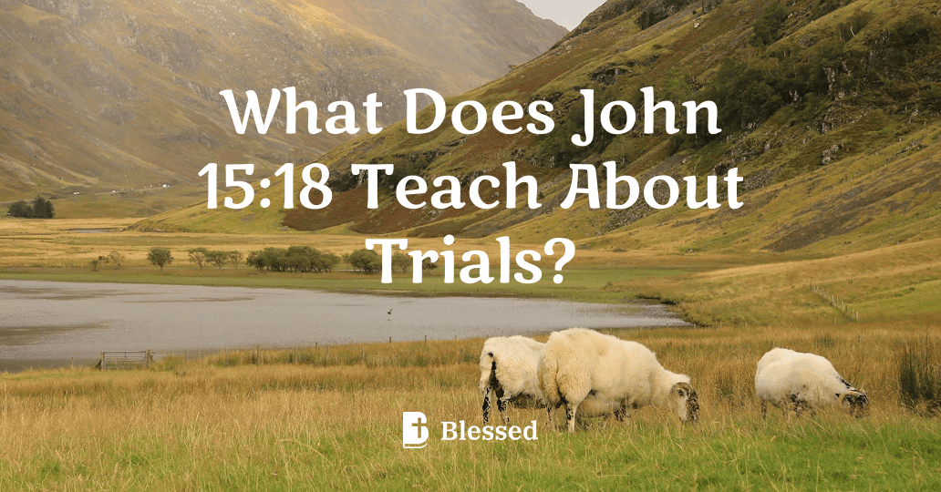 What Does John 15:18 Teach About Trials?