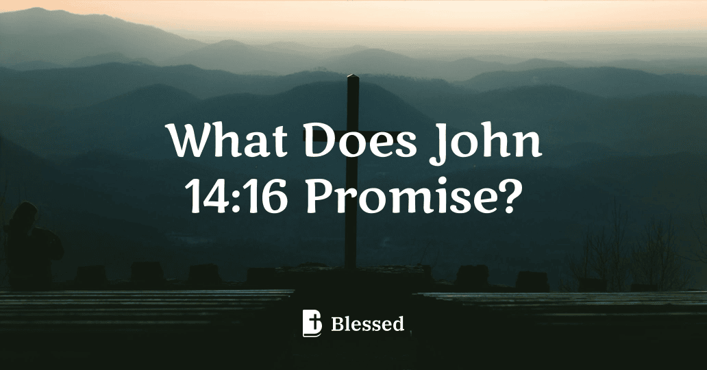 What Does John 14:16 Promise?