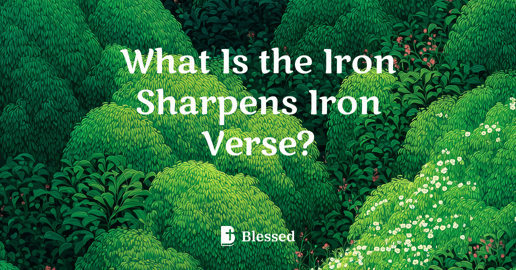 What Is the Iron Sharpens Iron Verse?