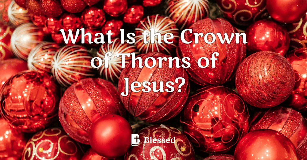 What Is the Crown of Thorns of Jesus?