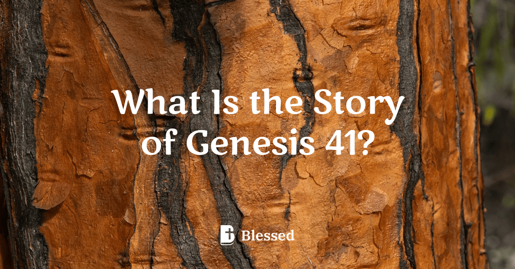 What Is the Story of Genesis 41?