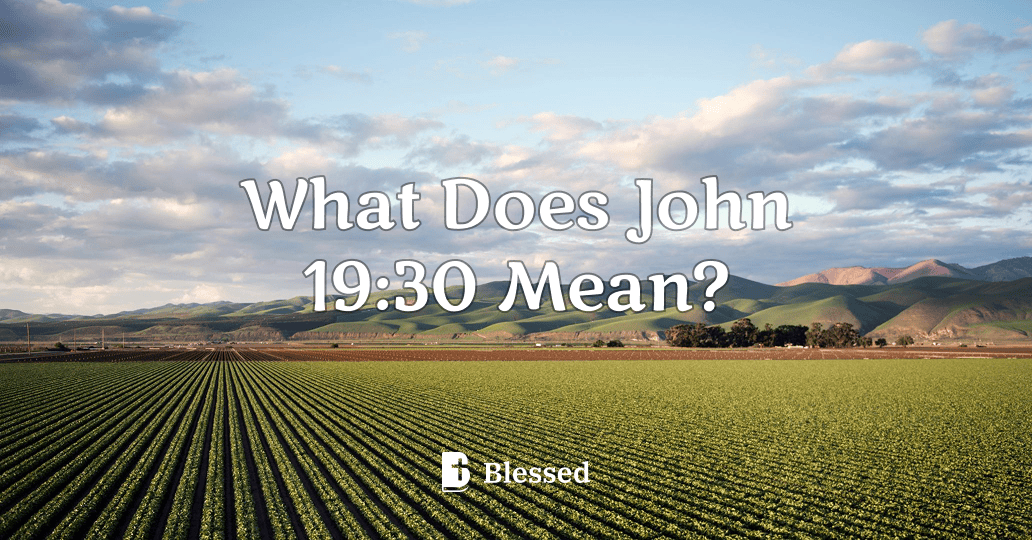 What Does John 19:30 Mean?
