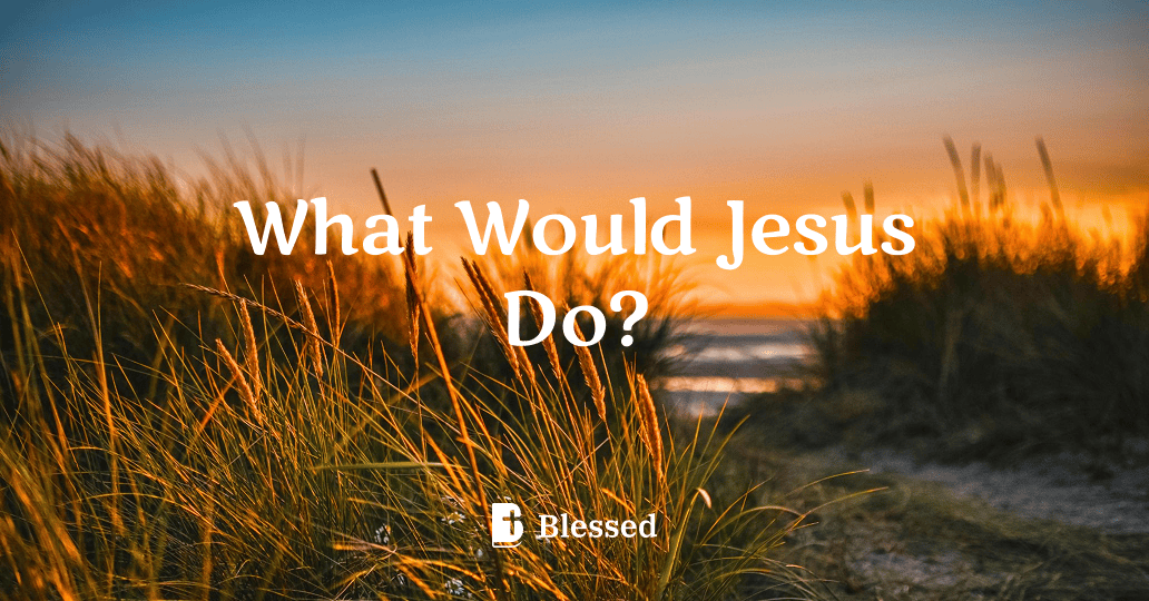 What Would Jesus Do?