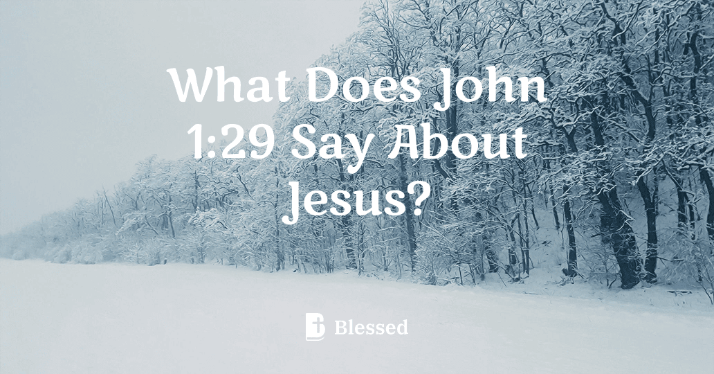 What Does John 1:29 Say About Jesus?