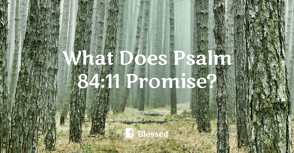 What Does Psalm 84:11 Promise?