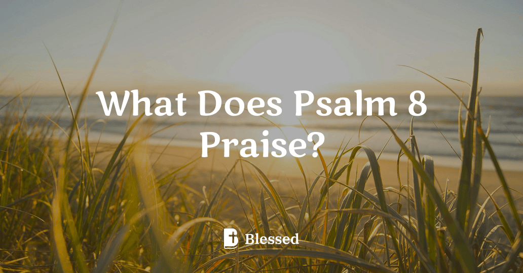 What Does Psalm 8 Praise?