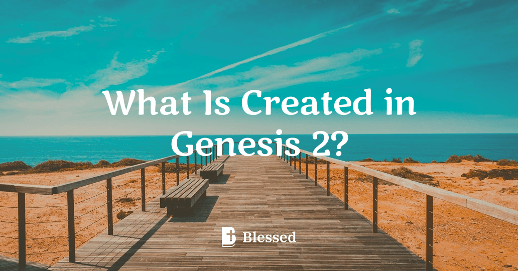 What Is Created in Genesis 2?