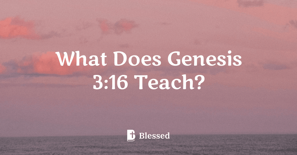 What Does Genesis 3:16 Teach?