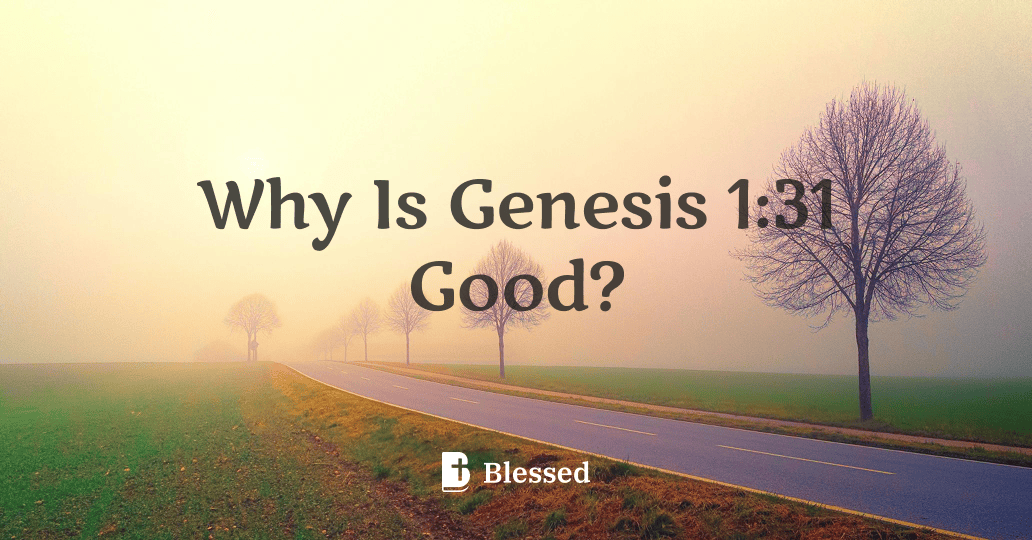 Why Is Genesis 1:31 Good?