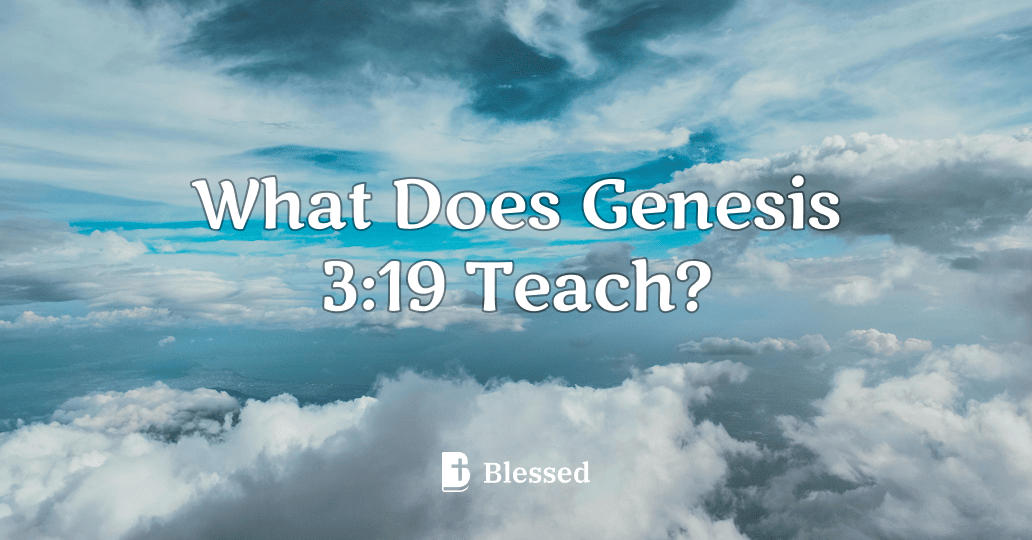 What Does Genesis 3:19 Teach?