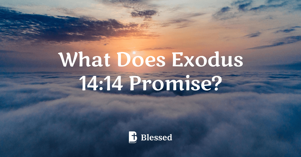 What Does Exodus 14:14 Promise?