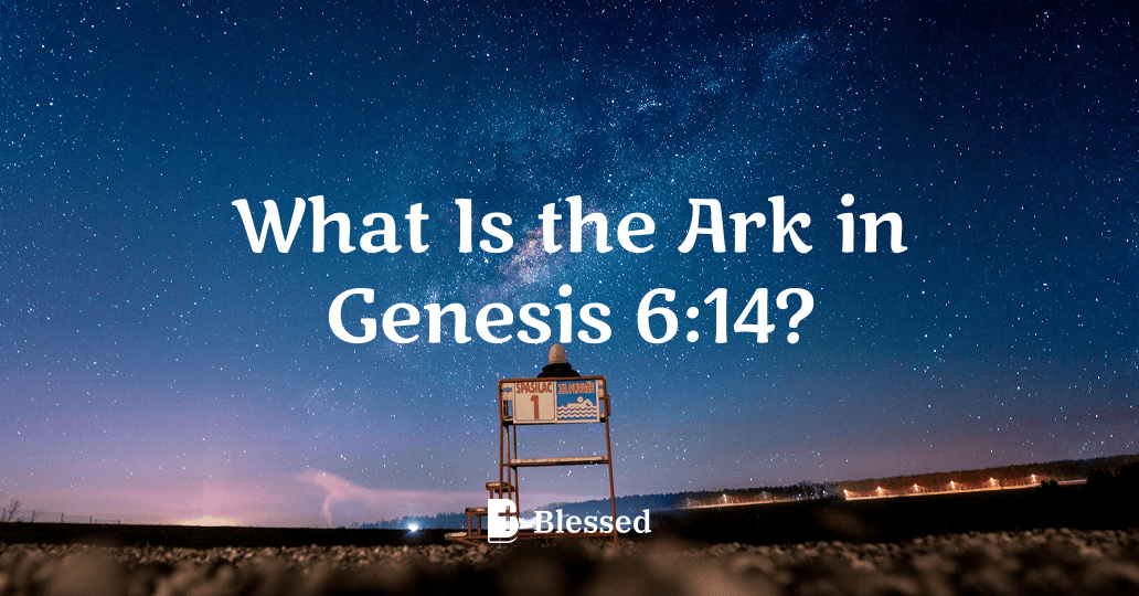 What Is the Ark in Genesis 6:14?