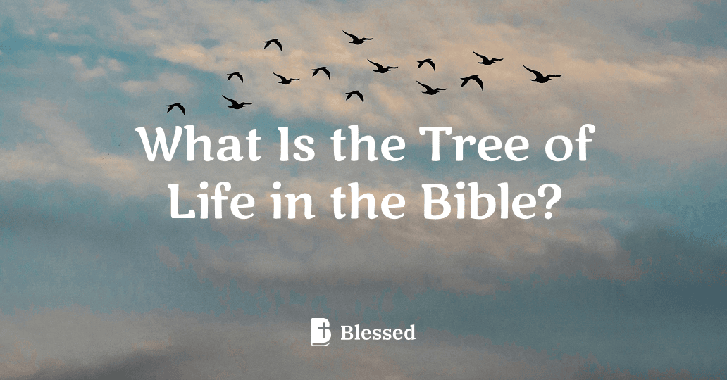 What Is the Tree of Life in the Bible?