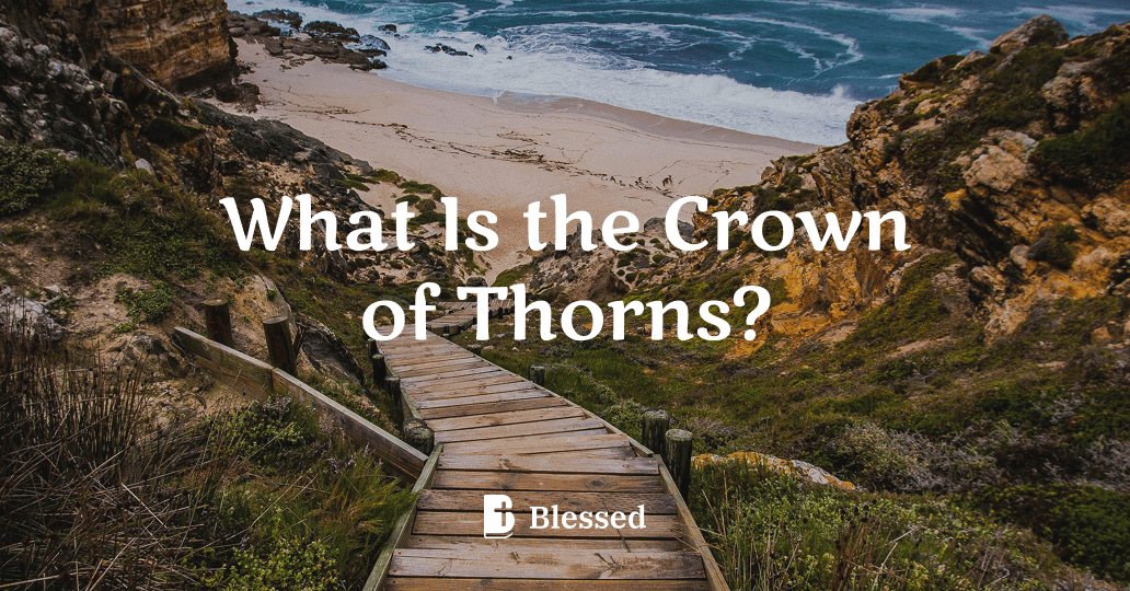 What Is the Crown of Thorns?