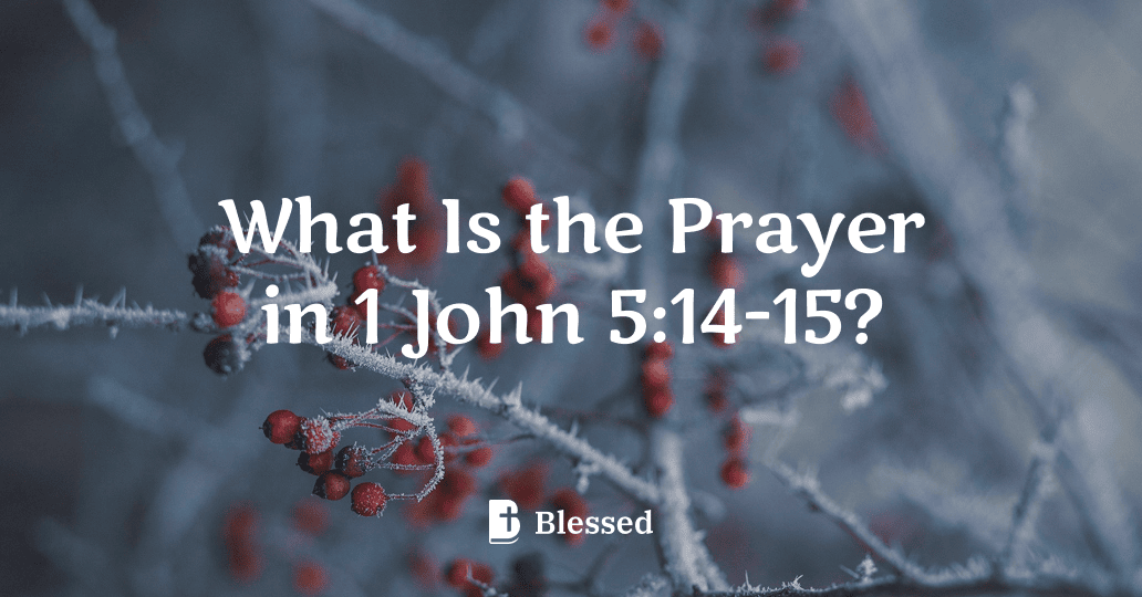 What Is the Prayer in 1 John 5:14-15?