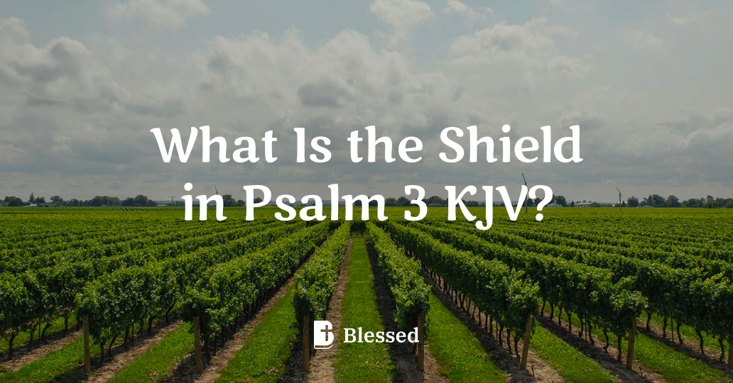 What Is the Shield in Psalm 3 KJV?