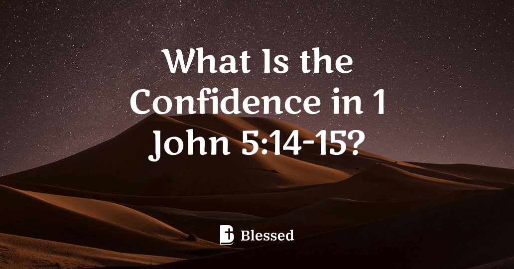 What Is the Confidence in 1 John 5:14-15?