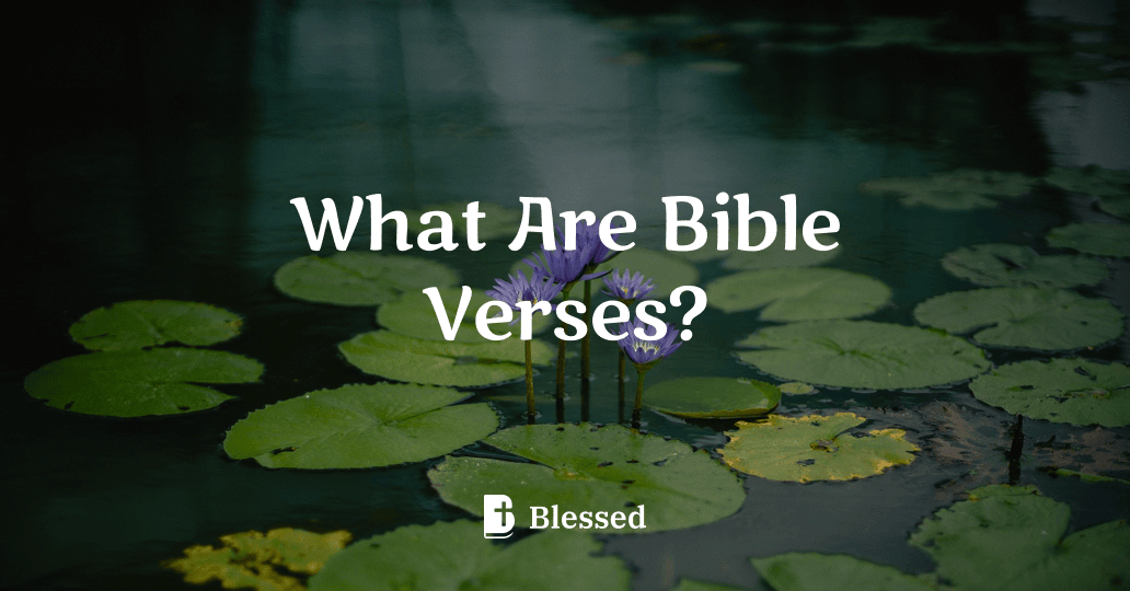 What Are Bible Verses?