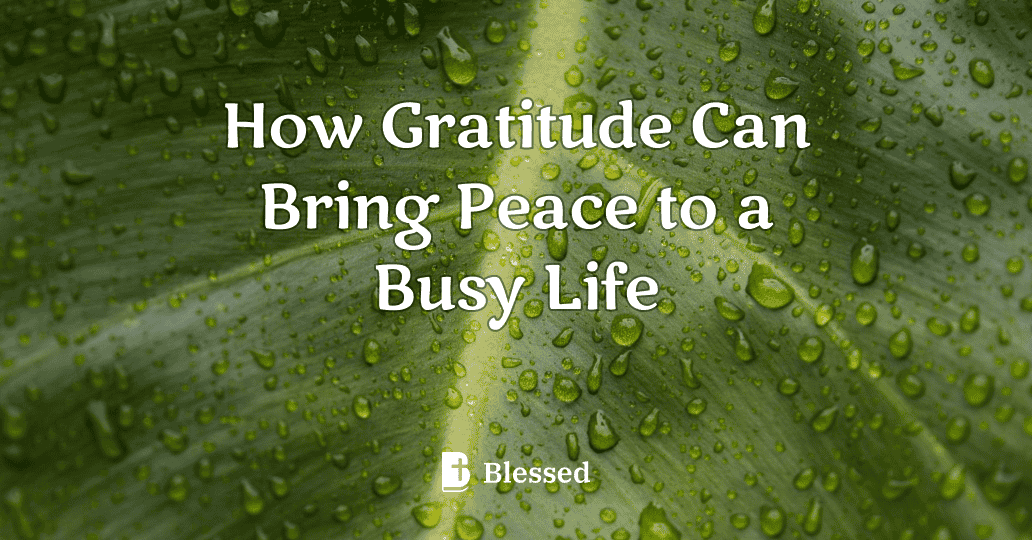 How Gratitude Can Bring Peace to a Busy Life