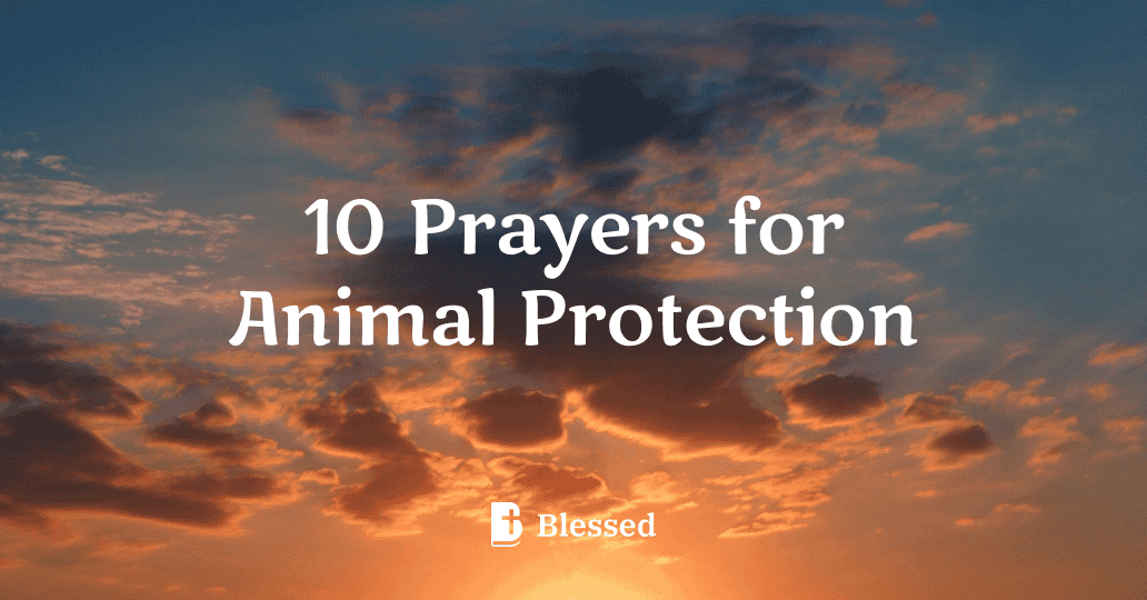 10 Prayers for Animal Protection