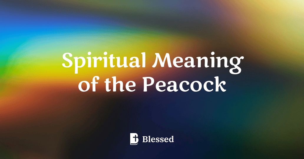 Spiritual Meaning of the Peacock