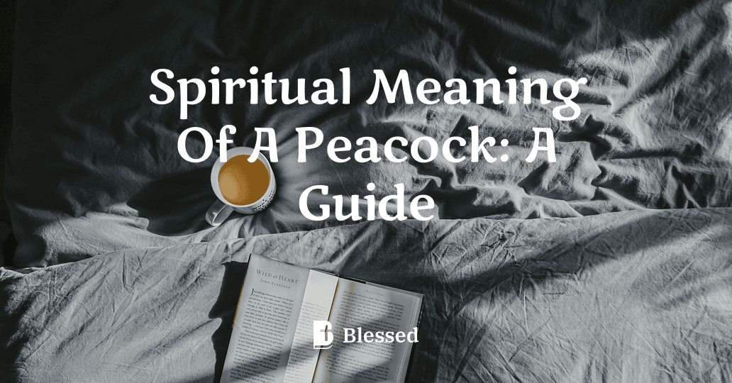 Spiritual Meaning Of A Peacock: A Guide