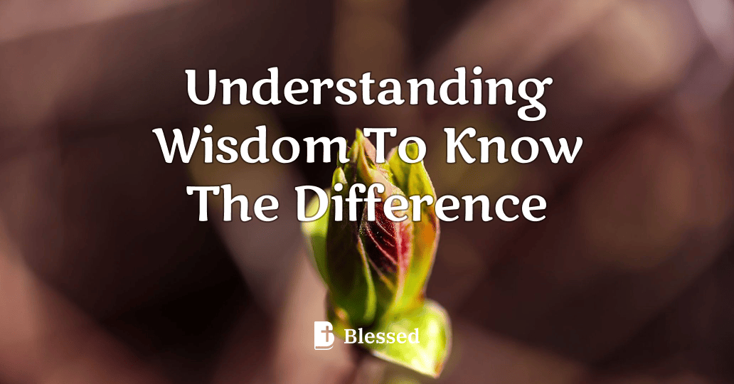 Understanding Wisdom To Know The Difference