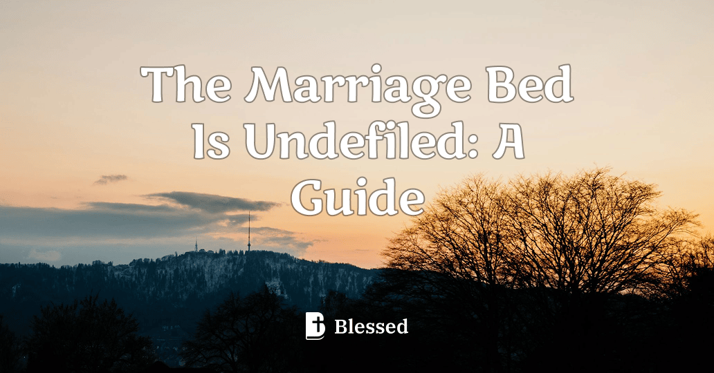The Marriage Bed Is Undefiled: A Guide